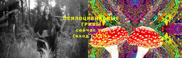 ALPHA PVP Богородск