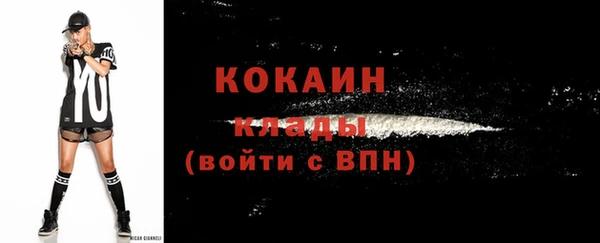 mdpv Богородицк