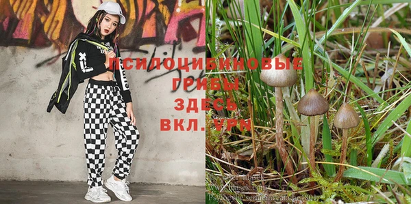 ALPHA PVP Богородск
