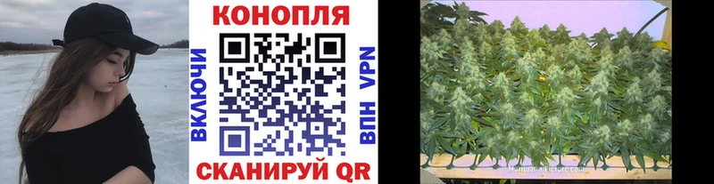 Шишки марихуана Ganja  kraken зеркало  Малая Вишера 